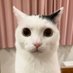 Hex (@hex_artzz) Twitter profile photo Hex (@hex_artzz) Twitter profile photo