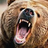 DenBrombeer's profile picture. Zegt wat u denkt.