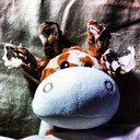 Cody storm - @iliketurtles74 - Twitter