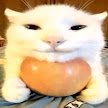Igor46026436's profile picture. 