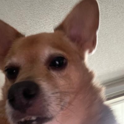 DustyDaddyさんのプロフィール画像