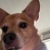 DustyDaddy (@dusty_daddy_) Twitter profile photo DustyDaddy (@dusty_daddy_) Twitter profile photo