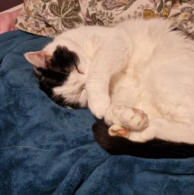 StevesTired's profile picture. I'm Always Tired.....!