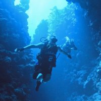 Shaun Gash MBE (@gashshaun) 's Twitter Profile