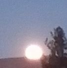 llion6528's profile picture. 