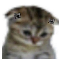 Lilith (@thinlilith) 's Twitter Profile