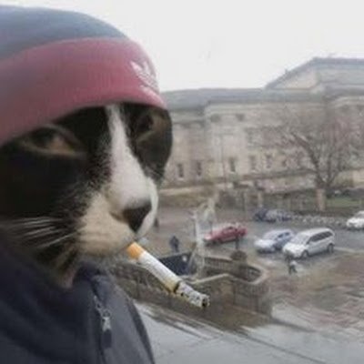 @arlef34523