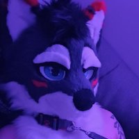 NaughtyNico (@naughtynicow) 's Twitter Profile Photo