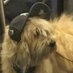 fluffin (@rluff8n) Twitter profile photo fluffin (@rluff8n) Twitter profile photo
