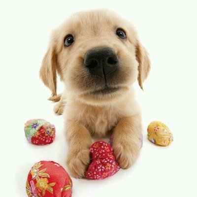 lov3d1ve's profile picture. 