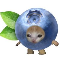 Ida π«Άπ«π± (@idenira_tweets) 's Twitter Profile