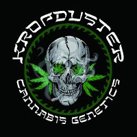 KropDuster (@kropdusterseeds) 's Twitter Profile