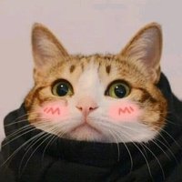 每日大赛 (@mrdsaii) 's Twitter Profile Photo