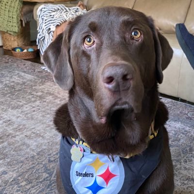 PamDugan8's profile picture. 