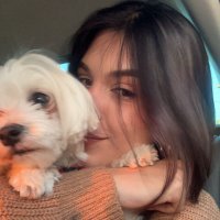 zeynep (@_nzeynep) 's Twitter Profile