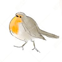 樺森 (@100e200e) 's Twitter Profile