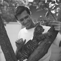 𝙧𝙚𝙢𝙞 (@youmakemereai) 's Twitter Profile Photo