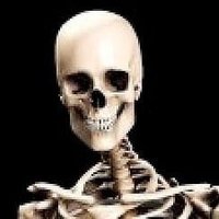 budín el topo gigio (@hangingloser) 's Twitter Profile