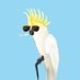Farewell, Cecil Dirtman! (@birdrespecter) Twitter profile photo Farewell, Cecil Dirtman! (@birdrespecter) Twitter profile photo