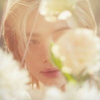lina (@sunflowerhlx) 's Twitter Profile