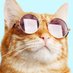 M BA (@whalesmba) Twitter profile photo M BA (@whalesmba) Twitter profile photo