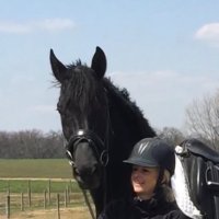 Terry smith ⏳ (@rsporthorses) 's Twitter Profile Photo Terry smith ⏳ (@rsporthorses) 's Twitter Profile Photo