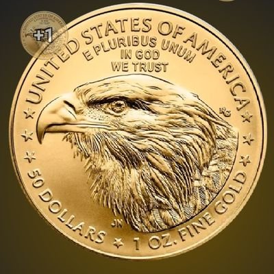 kheloufi_a78329's profile picture. 