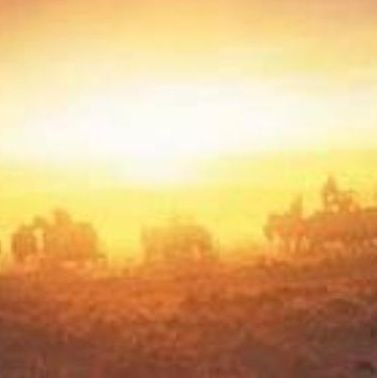 entinsunda's profile picture. Time is opportunity
so don't waste time