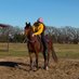 SNM Arabians (@thehussyhorse) Twitter profile photo SNM Arabians (@thehussyhorse) Twitter profile photo