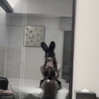 な (@a____tukareta) 's Twitter Profile