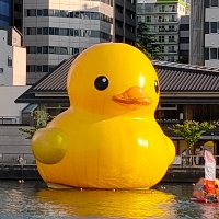 フサギコさん (@fusagiko_san) 's Twitter Profile Photo フサギコさん (@fusagiko_san) 's Twitter Profile Photo