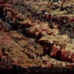 Gangreeena's profile picture. ne visu vajag uztvert tik kompleksi