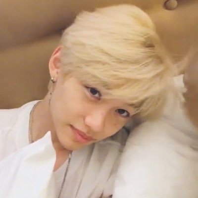 priv: @sillybear03 𖦹 staytwt, mmtwt, mcrtwt, jjktwt, etc. 𖦹 any prns, pref he/they!! 𖦹 read carrd byf 𖦹 ⛅️