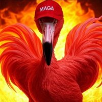 Ultra MAGA Flamingo ๐ฅ๐ฆฉ๐บ๐ธ (@firedupflamingo) 's Twitter Profile
