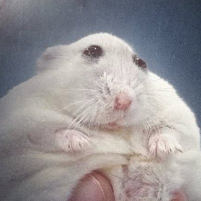 blurpblourpさんのプロフィール画像