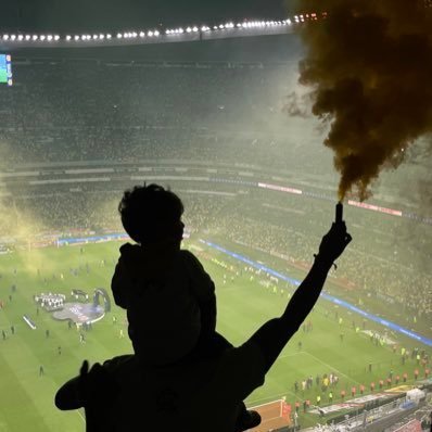 Opiniones, memes, análisis, historia, datos y más del AB @ClubAmerica @AmericaFemenil.