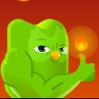 Henriet01541243's profile picture. I post random content on my things in Doulingo