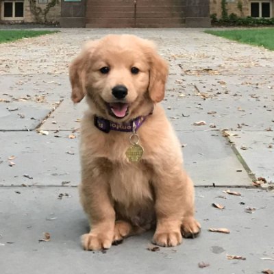 blinkingnotif's profile picture. ii