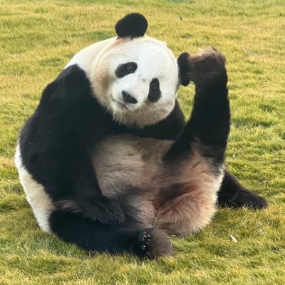 @canaextrade にログインできなくなった為移行しました。 ※前アカ相互さんに敢えてお声がけしてません(フォロバ催促が苦手なため)