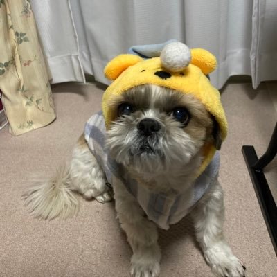 OSAGEさんのプロフィール画像