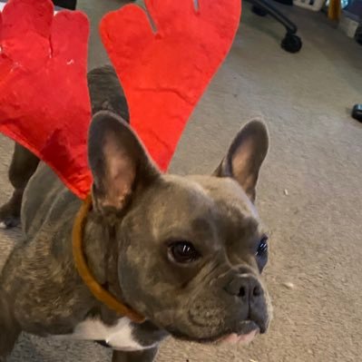 637Emu's profile picture. 17 | | $3.5k earns | @clownfnt | @riivnfn | #1 Funnell fan