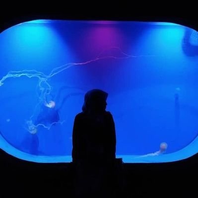 NispelAlex's profile picture. LLMs, RAG and AI Agents | Publications GPT-3 & Neural Search in Production

ex @HardhatHQ
Alumnus @BrownUniversity