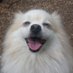 YarTheBug ใะฏัะะตะัาใ (@yarthebug) Twitter profile photo YarTheBug ใะฏัะะตะัาใ (@yarthebug) Twitter profile photo