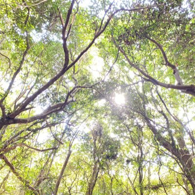 sa49gl's profile picture. 