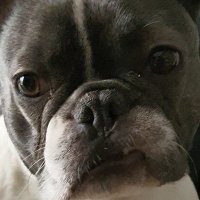 Sebastien Day (@sebday_) 's Twitter Profile