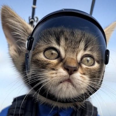 元自衛官で、自衛隊を応援していて、家族と静かな小さな町で暮らしていて、今の仕事と生活をとても楽しんでいます。戦争を避ける最善の方法は、日本の国防能力を高めることだ。