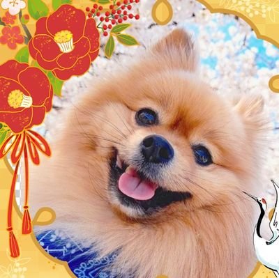 有香里さんのプロフィール画像