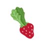 strawberry_napa's profile picture. $9.99/lb.| 成人済み🔞| 無言フォロー失礼します| Do not use my work⚠️All rights reserved