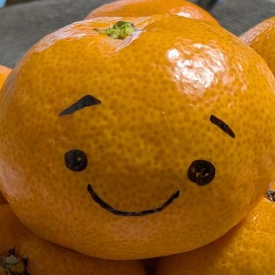 ノギさんのプロフィール画像