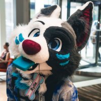 RylieπCF (@ryliethecollie) 's Twitter Profile Photo RylieπCF (@ryliethecollie) 's Twitter Profile Photo